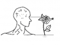GIFT.png